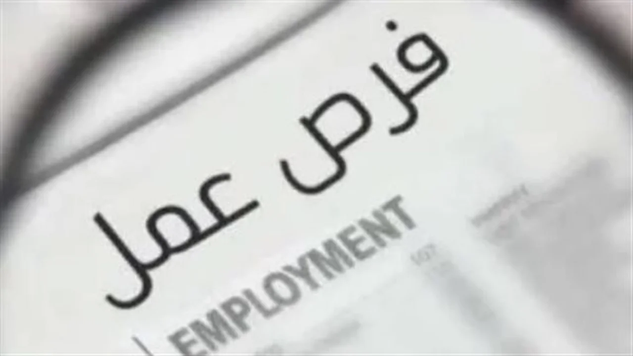 خريطة توزيع المحافظات.. رابط التقديم على الوظائف الحكومية الشاغرة بمختلف التخصصات في 2026